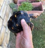 thumbnail_IMG_0854.jpg