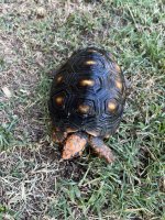thumbnail_IMG_0856.jpg
