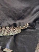 IMG_4365.jpeg