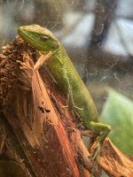 IMG_4327.jpeg