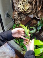 图片_20250201014109.jpg