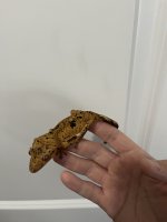 IMG_0896.jpeg