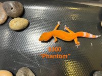 IMG_0366.jpeg