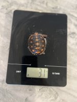 IMG_0629.jpeg