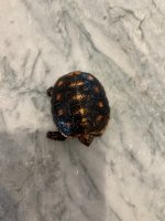 IMG_0625.jpeg