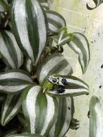 IMG_4478.jpeg