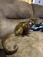 IMG_1237.jpeg