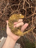 IMG_0313.jpeg