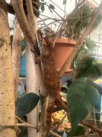 IMG_0332.jpeg