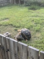 IMG_7760.jpeg