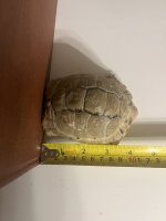 IMG_5102.jpeg