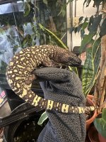 IMG_0327.jpeg