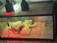 IMG_4053.jpeg