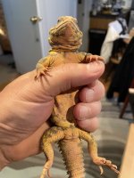 IMG_4922.jpeg