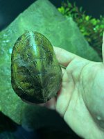 IMG_6871.jpeg