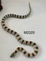 IMG_1002.jpeg