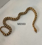 IMG_1006.jpeg