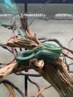 IMG_5936[1].jpg