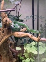 IMG_5943[1].jpg