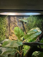 IMG_8992.jpeg