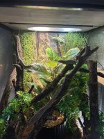 IMG_8991.jpeg