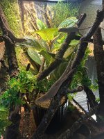IMG_8990.jpeg