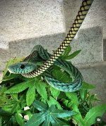 IMG_0419.jpeg