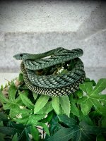 IMG_2700.jpeg