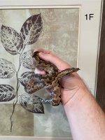 IMG_0120.jpeg