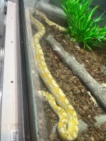 IMG_1736.jpeg
