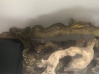 IMG_1381.jpeg