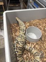 IMG_1932.jpeg