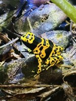 IMG_5229.jpeg