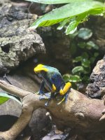 IMG_5085.jpeg