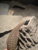 IMG_0485.jpeg