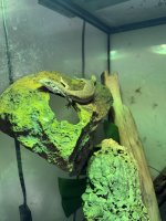 IMG_0449.jpeg