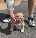 IMG_3058.jpeg