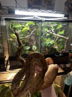 IMG_5156.jpeg