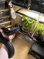 IMG_5163.jpeg