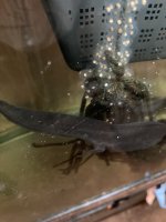 IMG_1951.jpeg