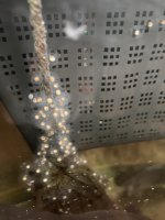 IMG_1952.jpeg