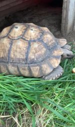 IMG_1126.jpeg