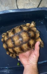 IMG_1171.jpeg