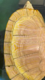 IMG_1177.jpeg