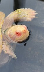 IMG_1183.jpeg