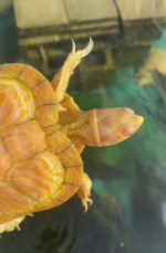 IMG_1108.jpeg