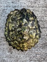 female black knob 2 - Copy.jpg