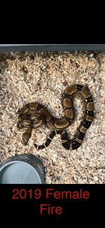 IMG_0140.jpeg