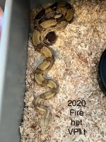 IMG_2809.jpeg
