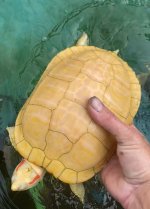 IMG_1221.jpeg
